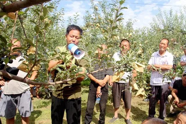 延安苹果种植新闻延安苹果手机专卖店-第2张图片-太平洋在线下载