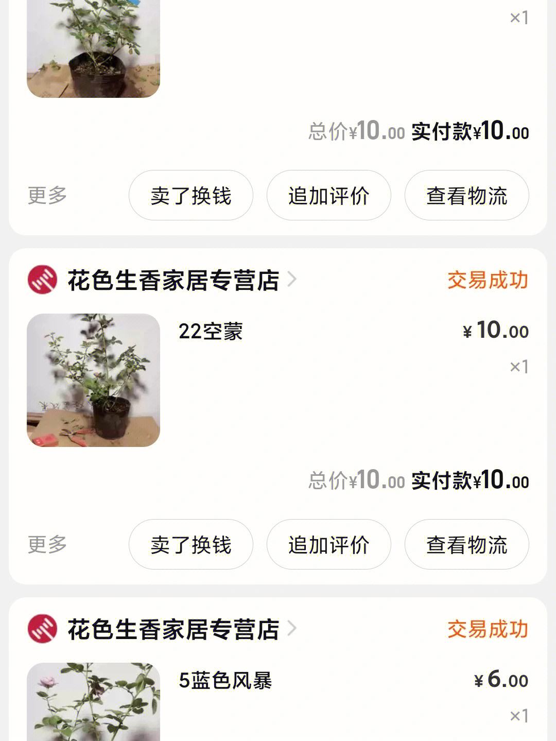 月季app安卓版网上买的月季苗有对版的吗-第2张图片-亚星国际官网